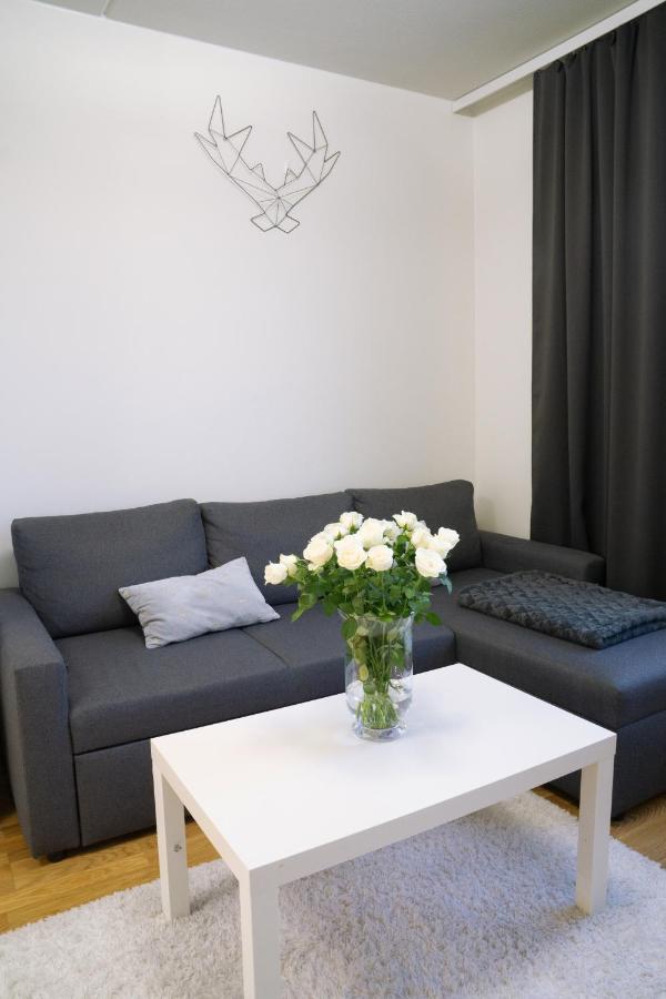 Lovely Northern Apartment, Parking Oulu Ngoại thất bức ảnh